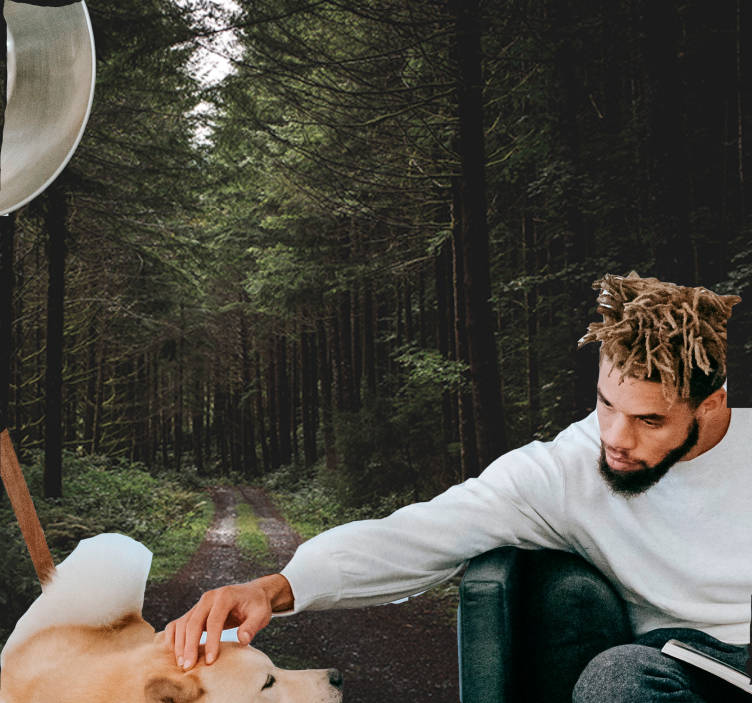 壁画质地生机盎然的林间小径 - TenStickers