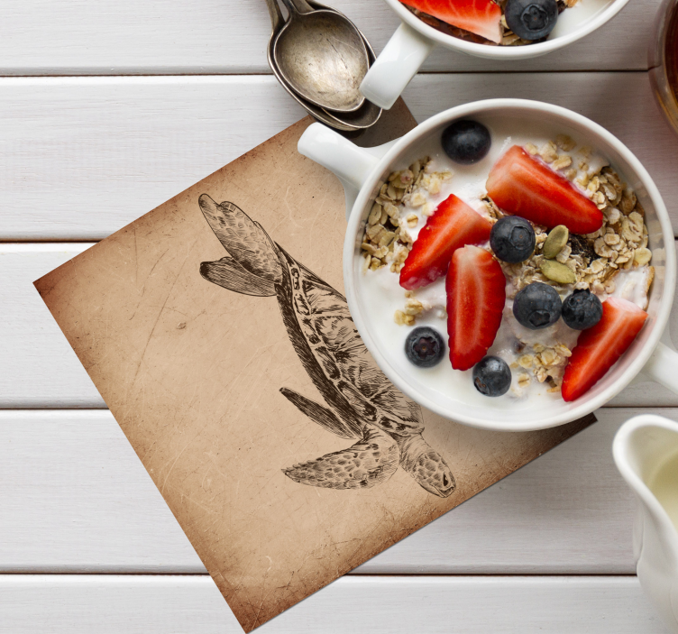 乌龟图老式杯垫 - TenStickers