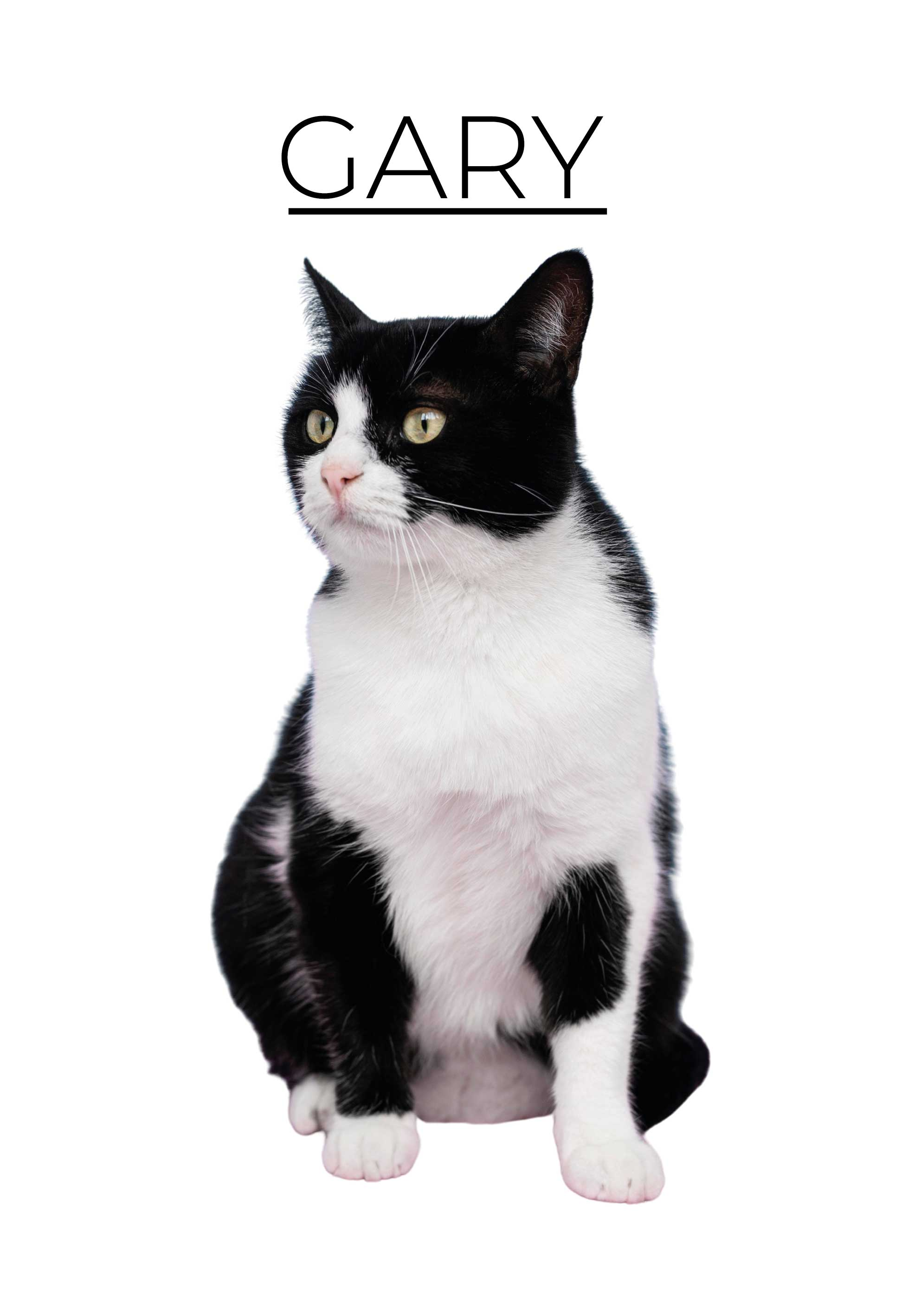 其他动物海报 个性简约 - TenStickers