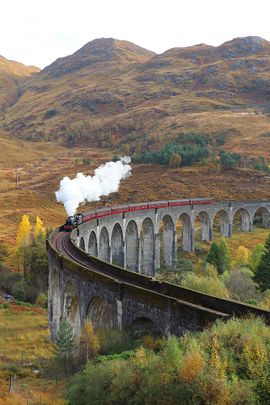 寫實照片海報动态列车 - TenStickers