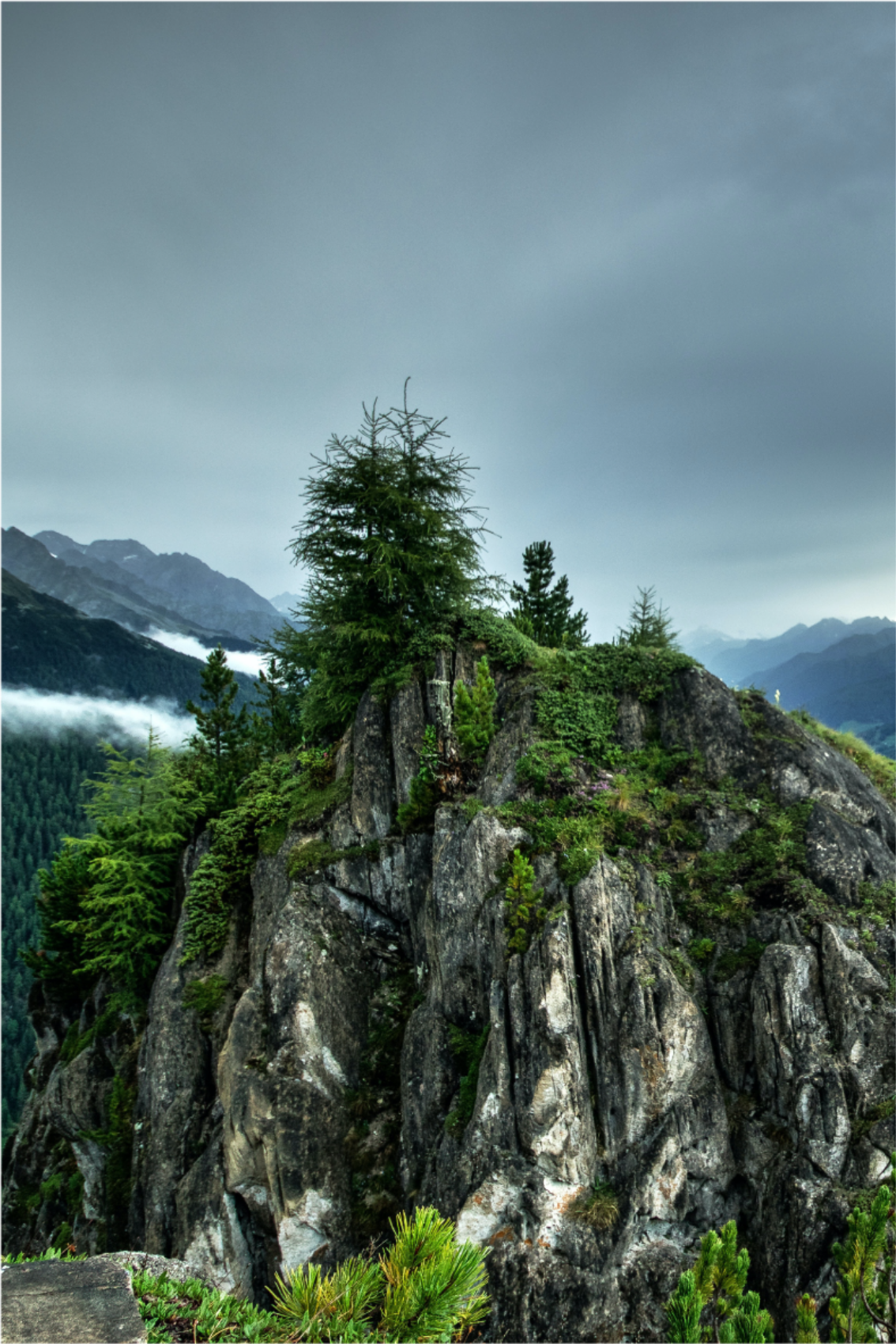 客厅海报单独岩石在绿色森林中 - TenStickers