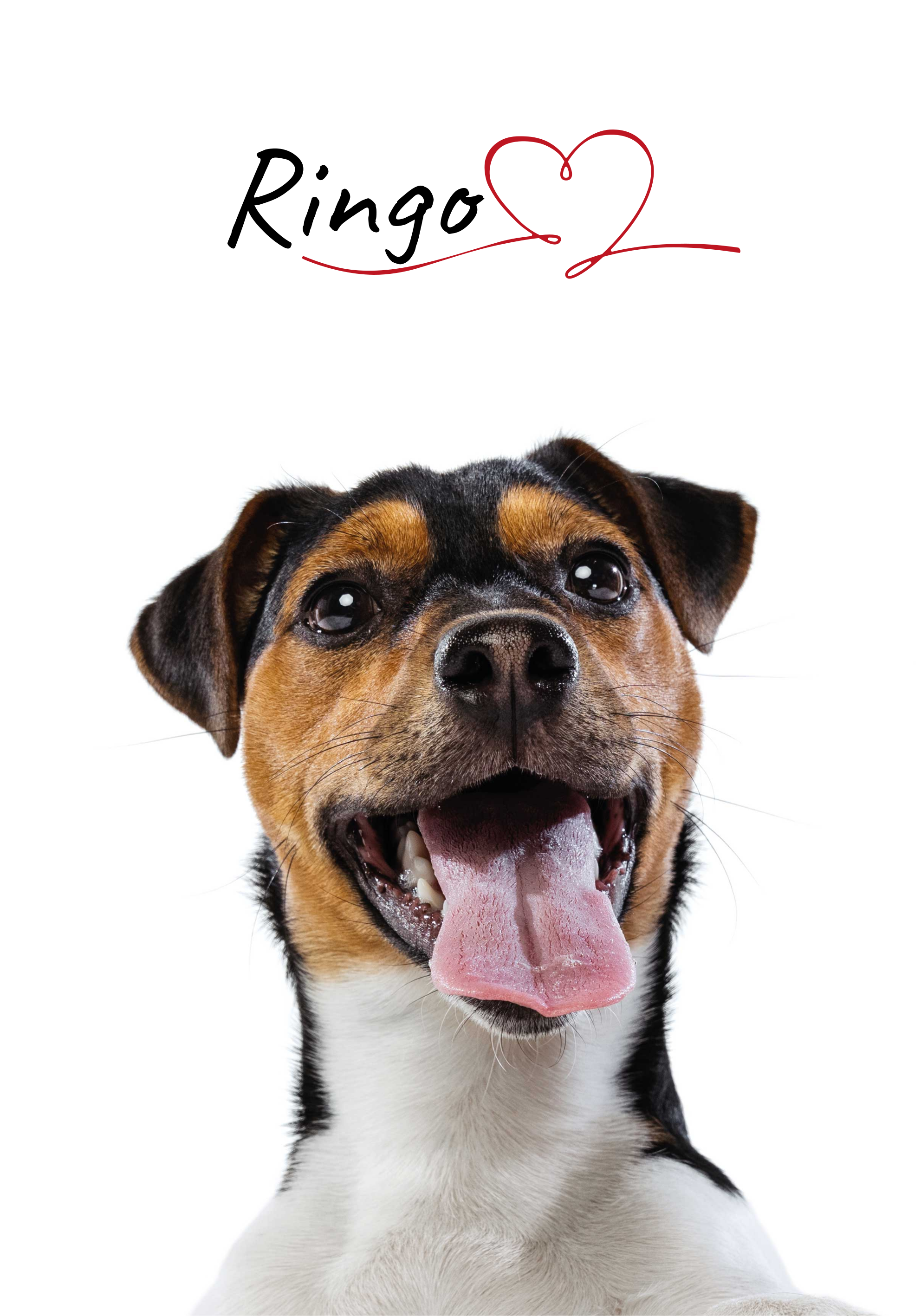 定制狗爱海报墙 - TenStickers