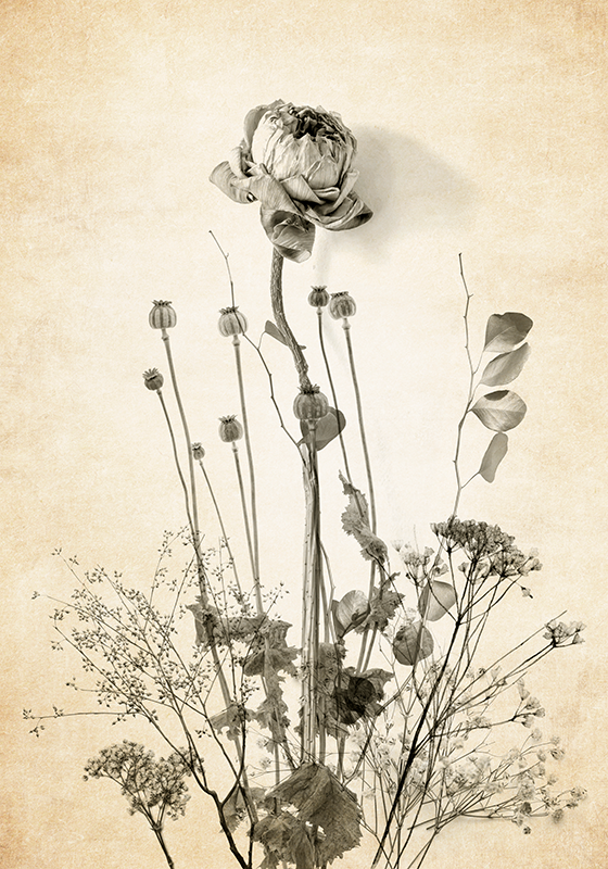 花卉宣传画 米色背景上的一束鲜花 - TenStickers