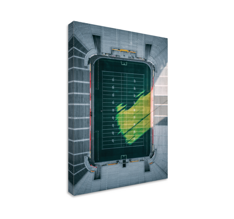 盲人体育的空中体育场视角 - TenStickers