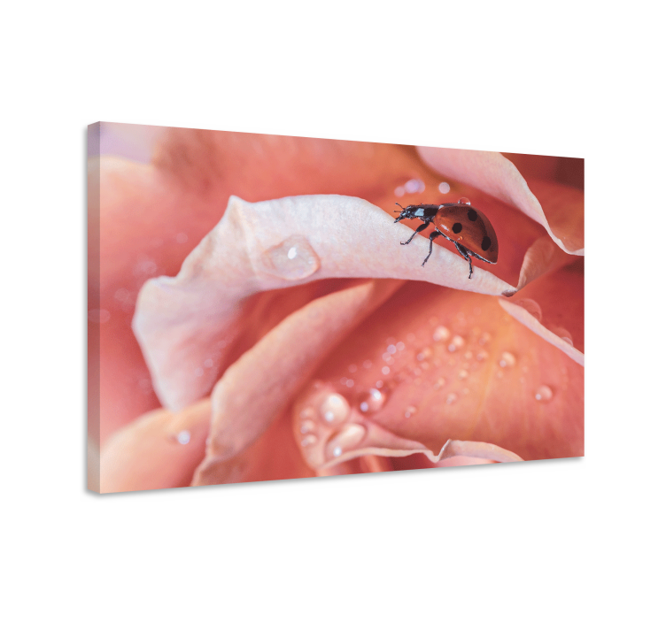 盲人视觉训练：玫瑰上的瓢虫 - TenStickers