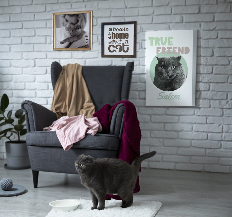 盲人专属定制 宠物真正的朋友 - TenStickers