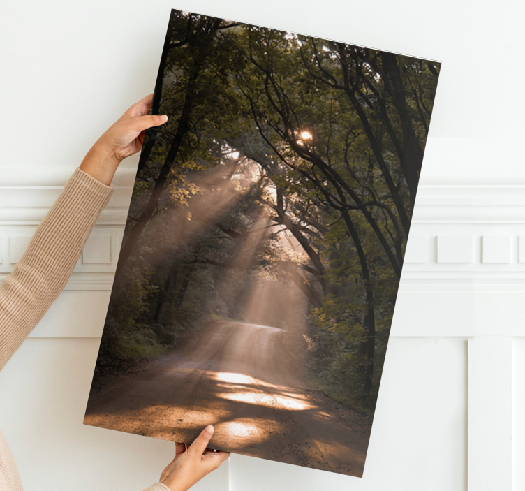 盲人游览风景阳光林间小径 - TenStickers