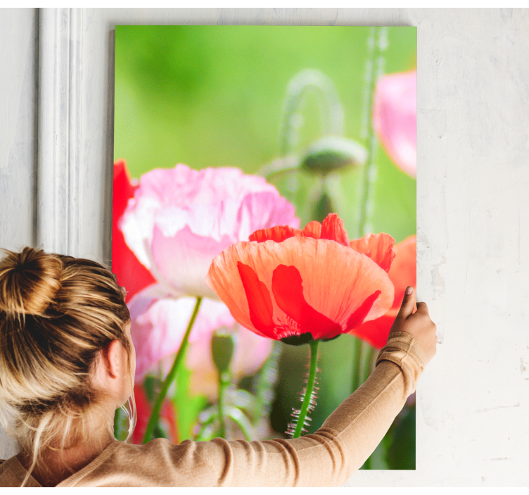 粉红色和红色的罂粟花海帆布 - TenStickers