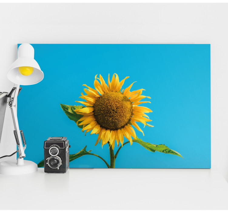 太阳花在蓝色花画布上 - TenStickers