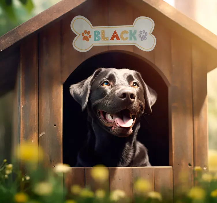 宠物墙贴纸 狗屋名字gǒu wū míng zì - TenStickers