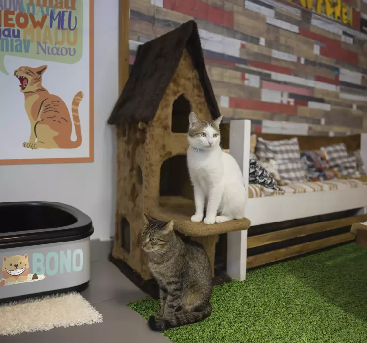 贴纸壁纸 猫砂盆 - TenStickers