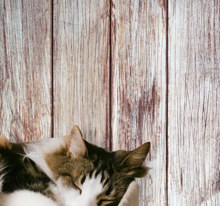 纹理贴纸适用于灰色木质地板 - TenStickers