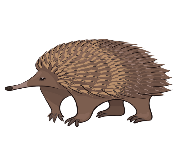 乙烯基地毯动物可爱刺猬角色 - TenStickers