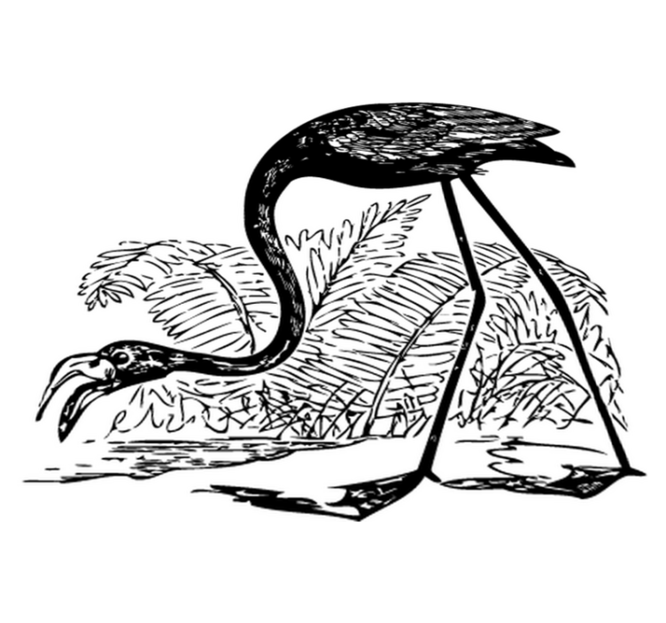 乙烯基地毯动物火烈鸟与蕨类植物 - TenStickers