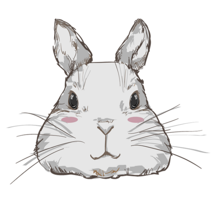 乙烯基地毯动物可爱兔头 - TenStickers