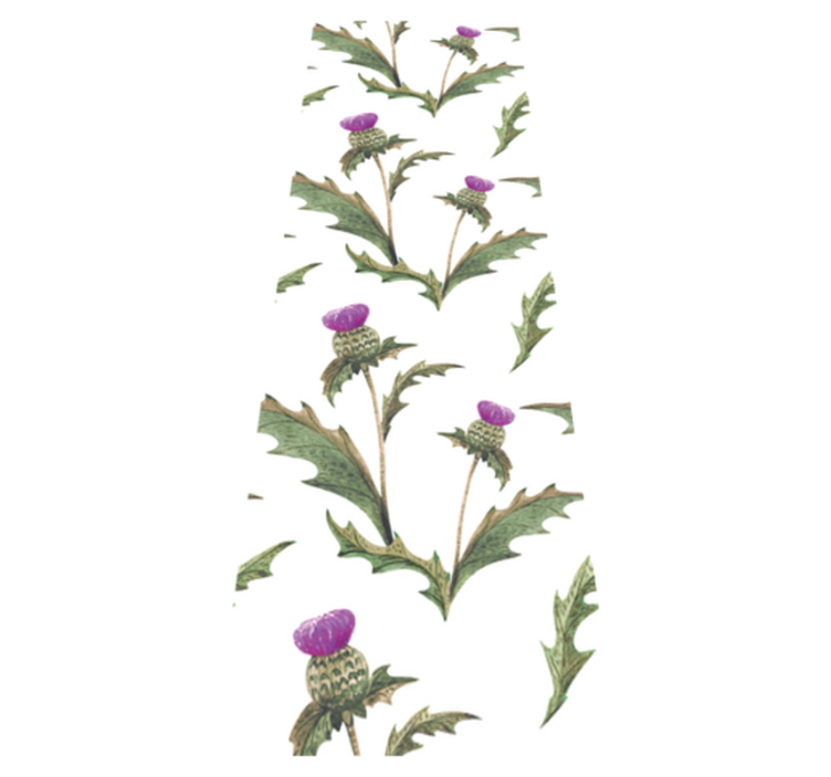 卧室乙烯基地毯苏格兰蓟花图案 - TenStickers