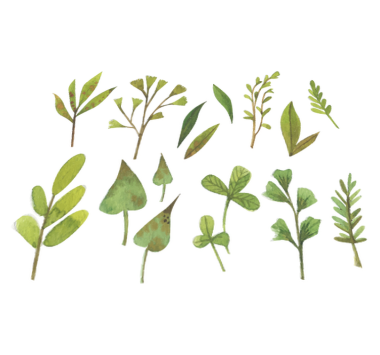 乙烯基花草地毯水彩小叶设计 - TenStickers