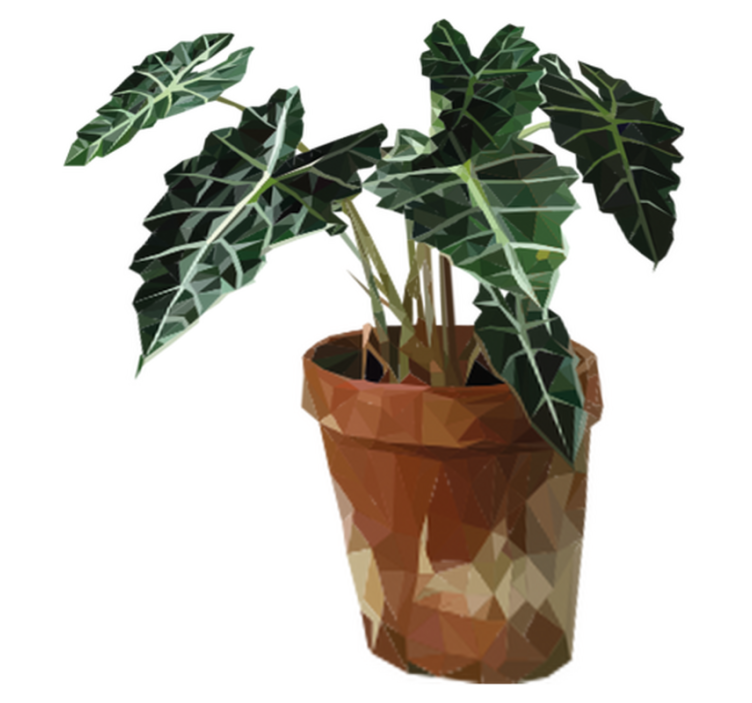 乙烯基花草地毯几何花盆植物 - TenStickers