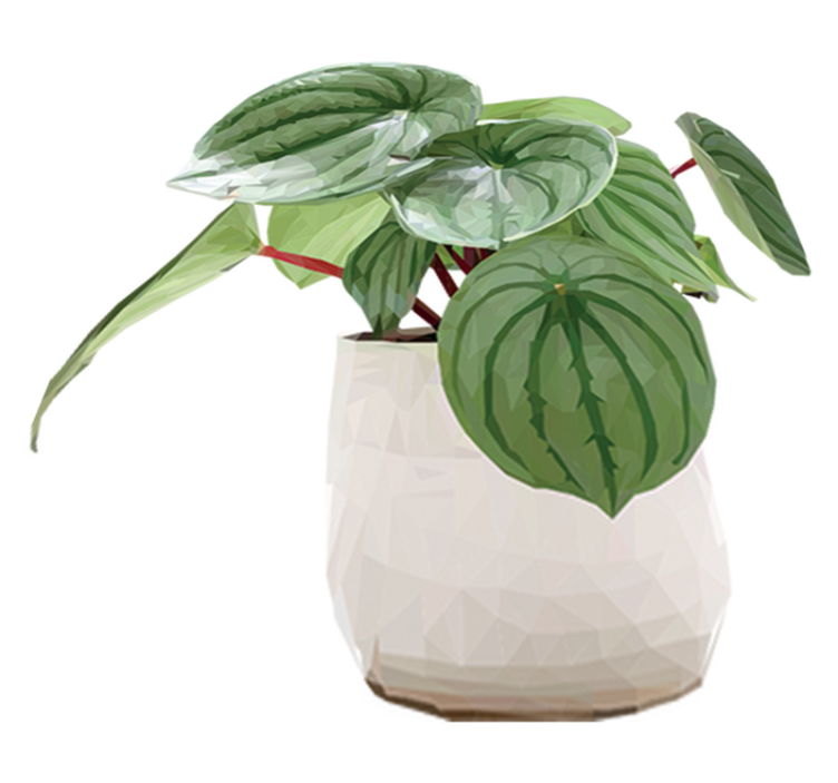 乙烯基花草地毯 简约家居植物 - TenStickers