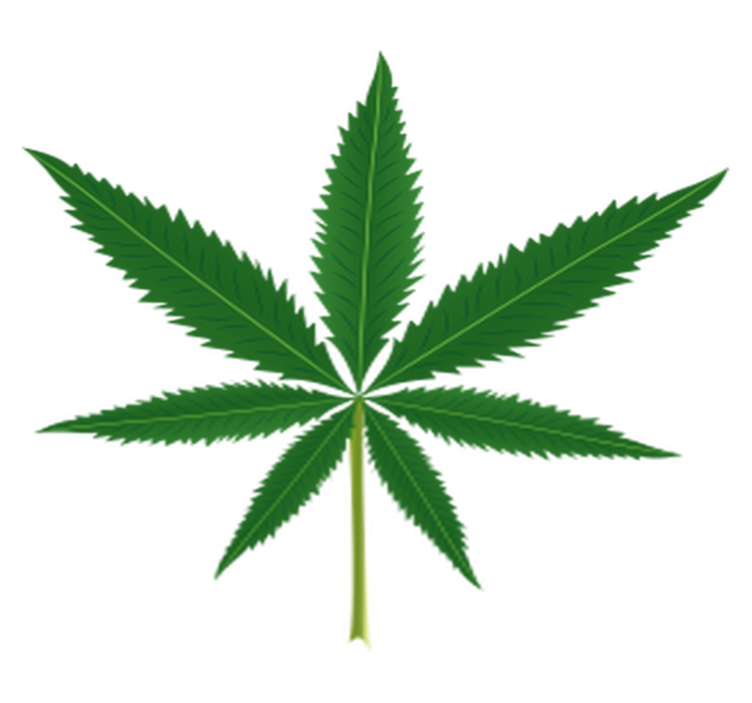 乙烯基花草地毯大麻叶设计 - TenStickers