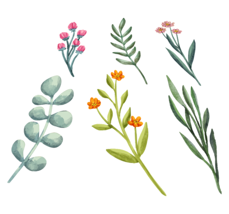 乙烯基花草地毯植物枝条 - TenStickers