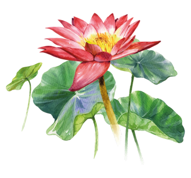 卧室乙烯基地毯莲花水彩幻影 - TenStickers