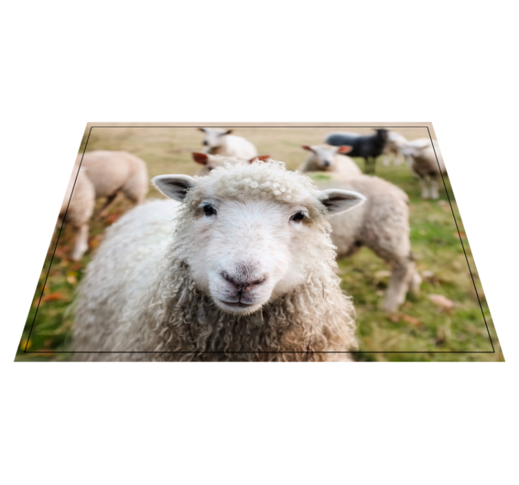 乙烯基地毯动物卷毛牧羊犬面孔 - TenStickers