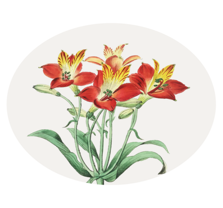 乙烯基花草地毯生机盎然的红色花朵 - TenStickers