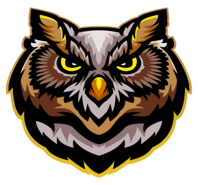 愤怒的棕色猫头鹰脸卧室地毯 - TenStickers