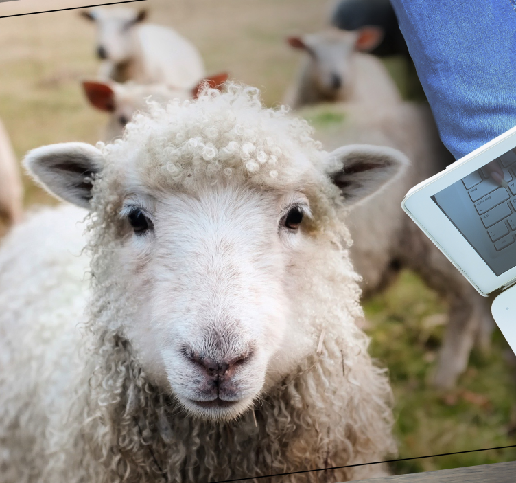 乙烯基地毯动物卷毛牧羊犬面孔 - TenStickers