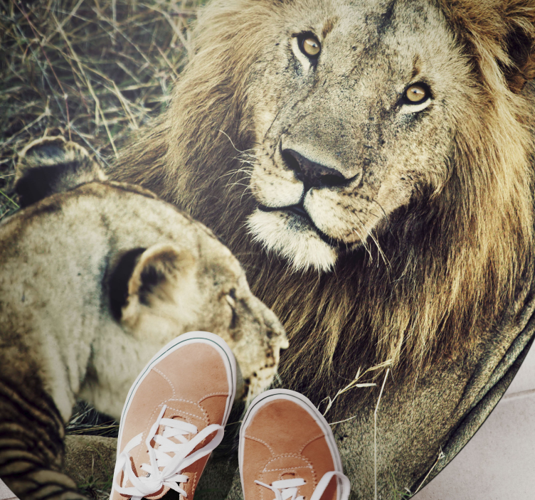 乙烯基地毯动物雄伟狮子双胞胎 - TenStickers