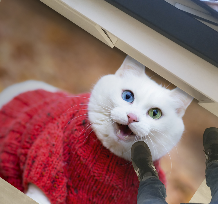 乙烯基地毯动物顽皮猫毛衣 - TenStickers