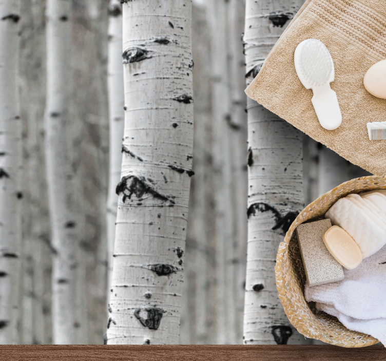 乙烯基地毯特性适合白桦林环境 - TenStickers