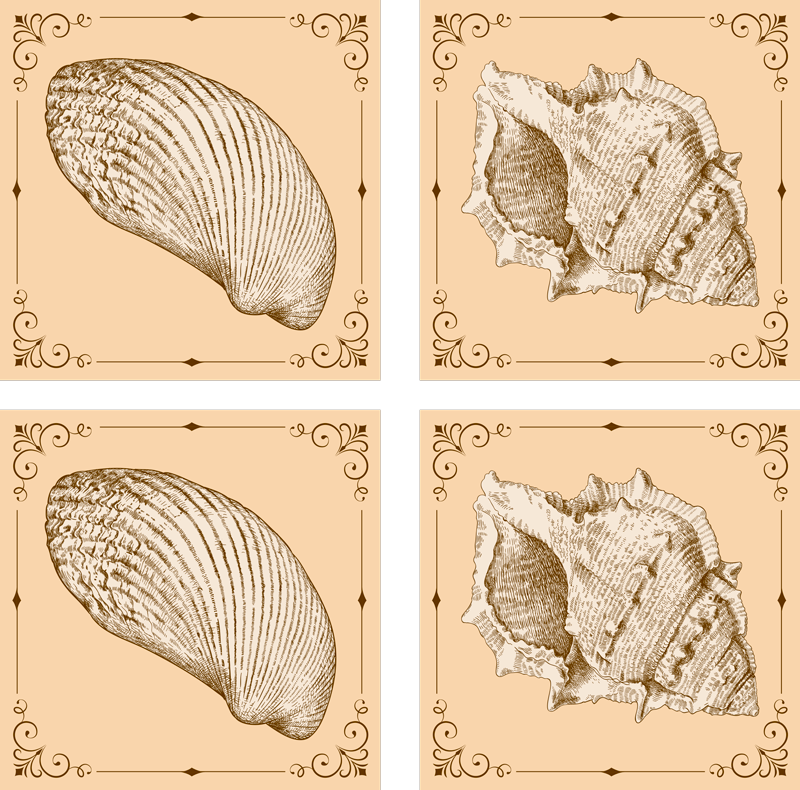 乙烯基地毯动物复古海贝壳 - TenStickers