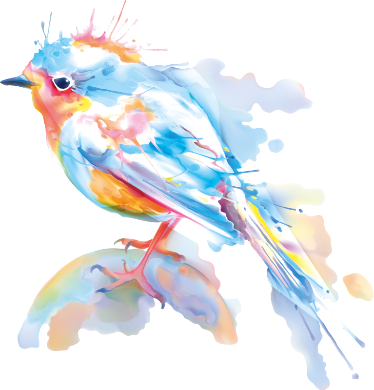 乙烯基地毯动物鸟类飞溅 - TenStickers