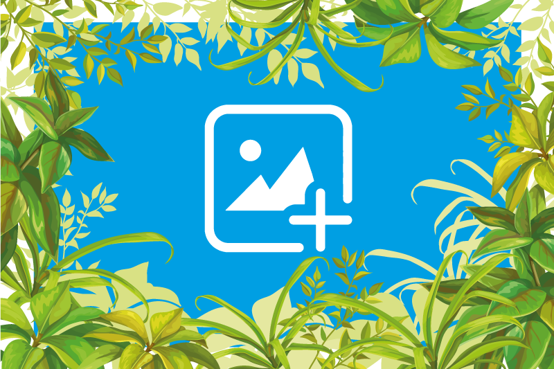 乙烯基地毯动物绿意中的猫 - TenStickers