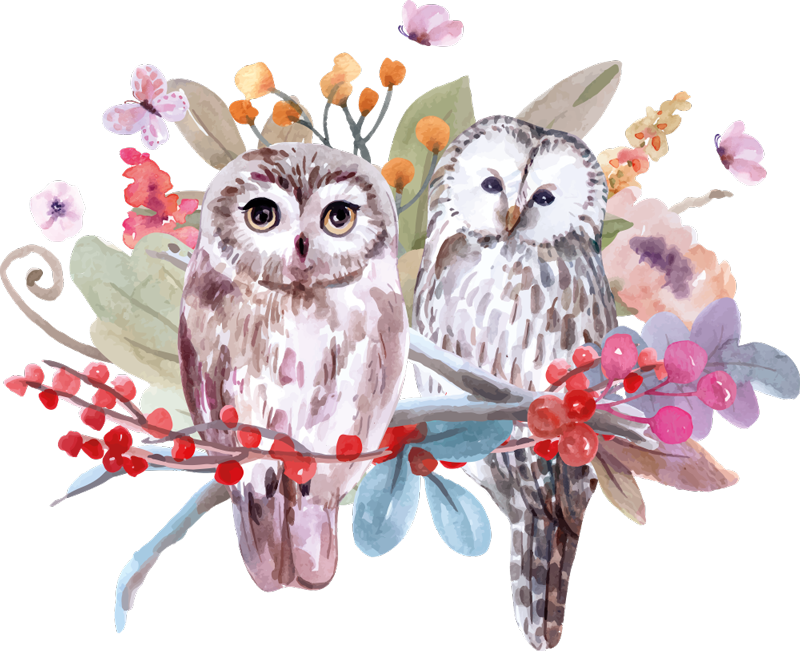 乙烯基地毯动物自然中的猫头鹰 - TenStickers