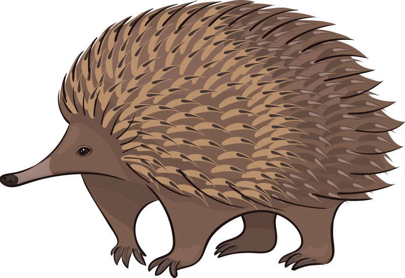 乙烯基地毯动物可爱刺猬角色 - TenStickers