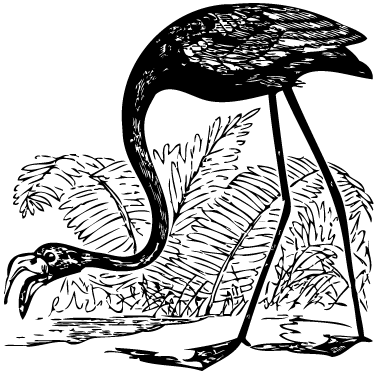 乙烯基地毯动物火烈鸟与蕨类植物 - TenStickers