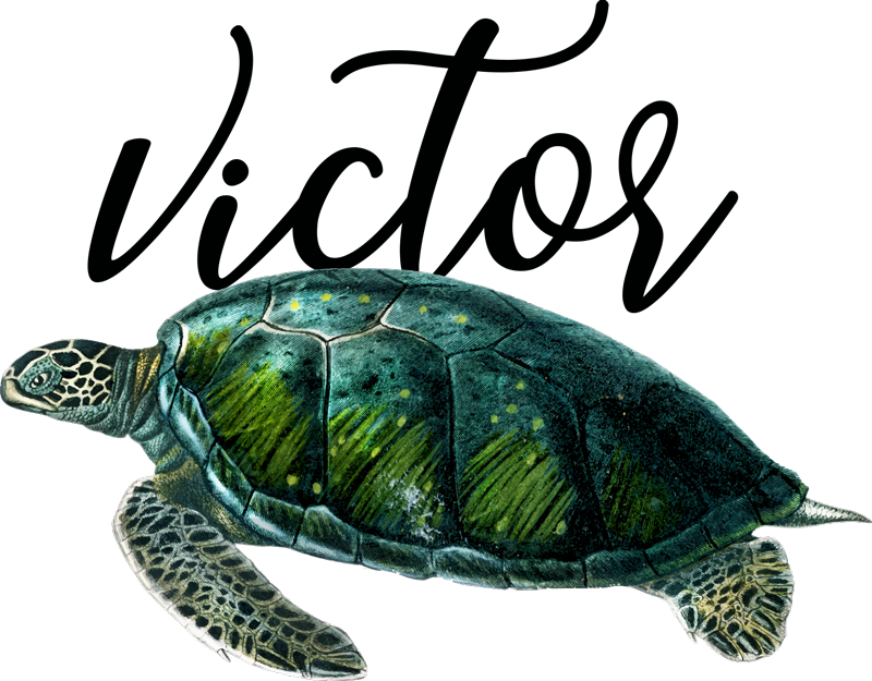 乙烯基地毯动物可定制海龟设计 - TenStickers