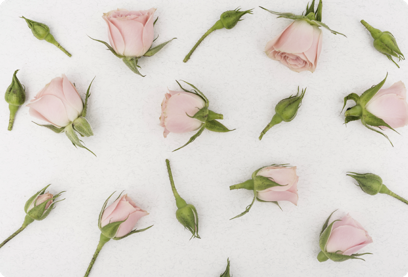 乙烯基花草地毯浪漫春花 - TenStickers