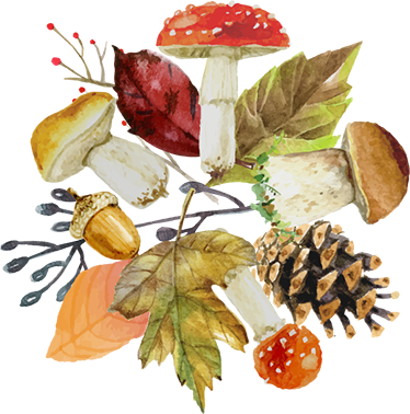 乙烯基花草地毯秋季元素 - TenStickers