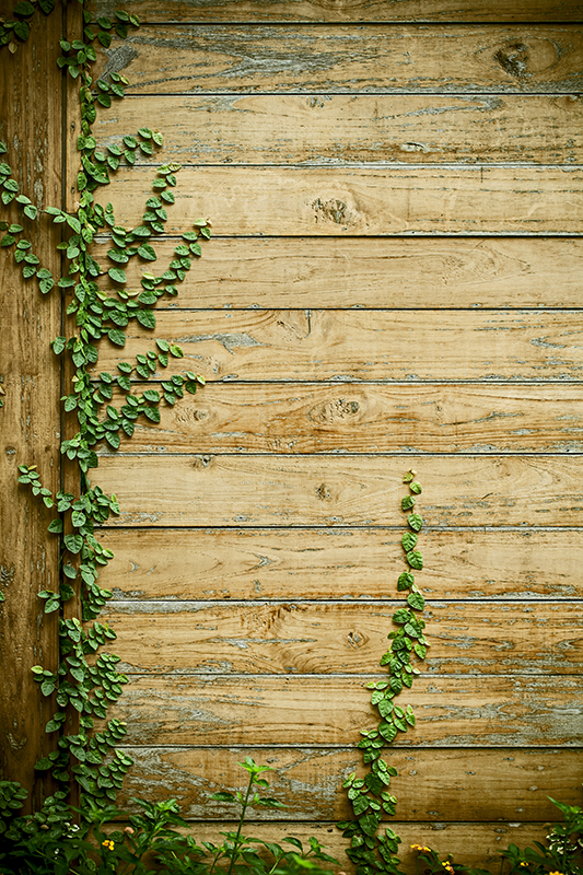 乙烯基花草地毯木纹藤蔓设计 - TenStickers