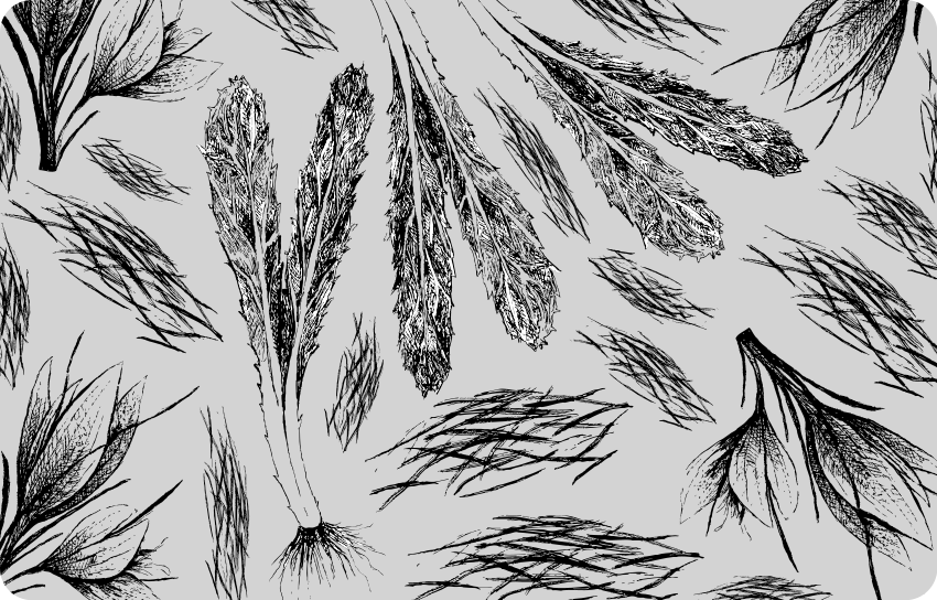 乙烯基花草地毯干燥灰色图案 - TenStickers