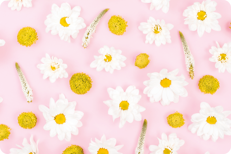 乙烯基花草地毯彩色花朵 - TenStickers