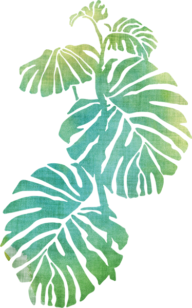 乙烯基花草地毯瑞士奶酪植物 - TenStickers