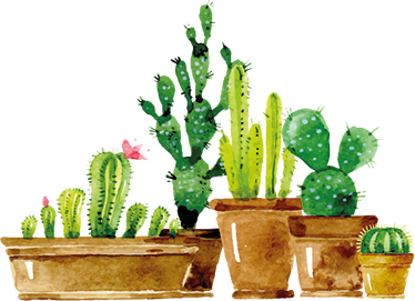 乙烯基花草地毯自制仙人掌花园 - TenStickers