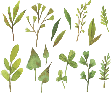 乙烯基花草地毯水彩小叶设计 - TenStickers