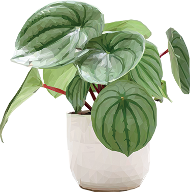 乙烯基花草地毯 简约家居植物 - TenStickers