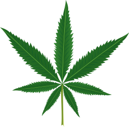 乙烯基花草地毯大麻叶设计 - TenStickers